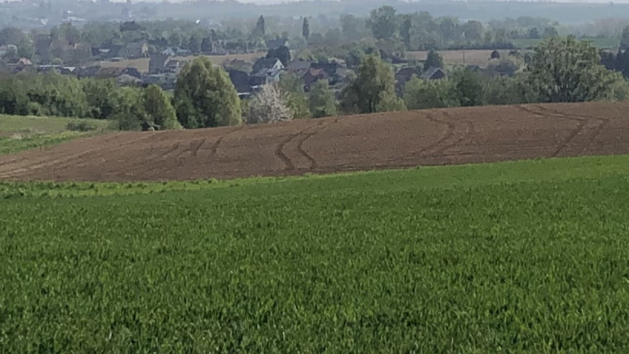 Landscape Hoegaarden